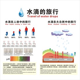 水滴在人体中的旅行