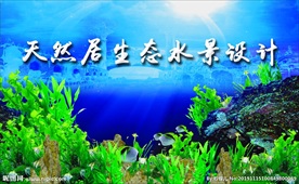 天然居名片 卡片  水景  名