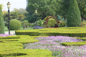 园林风景