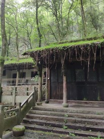 深山老林