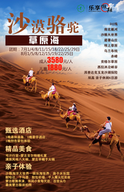 沙漠骆驼
