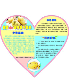 发芽马铃薯不能吃