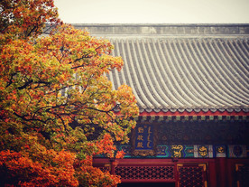 香山公园风景