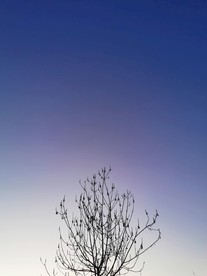落