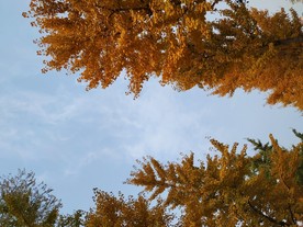 天空