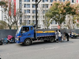 水果摊贩