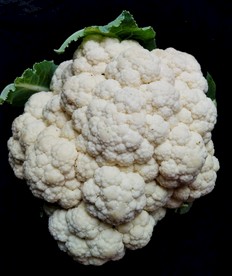 花椰菜 白菜花 菜花 花菜