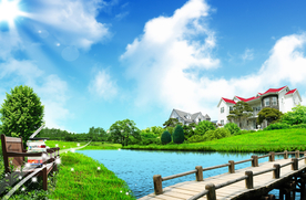 绿色草地