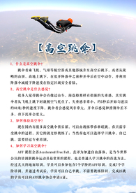 海报  三角翼  介绍  蓝色