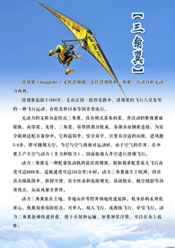 海报  三角翼