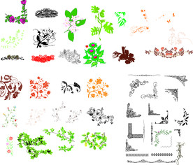 花草矢量图