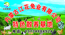 江花兔业三折页