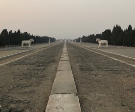 历史的路