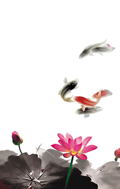水墨中国风荷花金鱼
