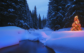 雪景背景