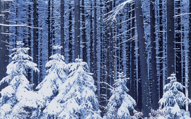 雪景背景