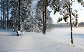 雪景背景