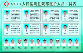 医院医护人员简介