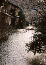 屋后的溪流