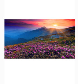 黄昏风景
