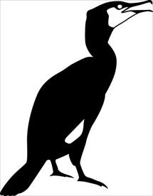 野生动物系列 鸬鹚剪影