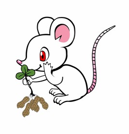 可爱老鼠