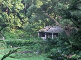 山中的早晨