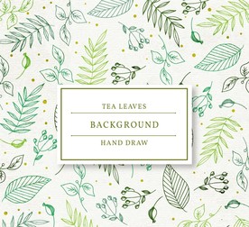 手绘茶树叶子矢量素材