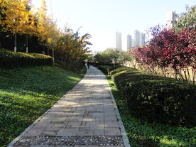桃花潭公园