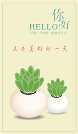 多肉植物