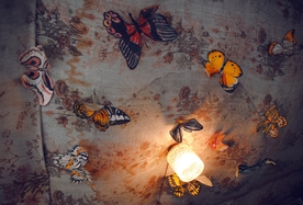 彩色 蝴蝶 灯光 花纹 背景