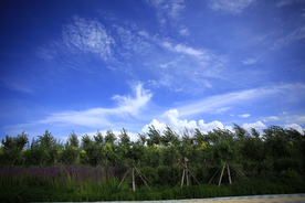 草原采风摄影