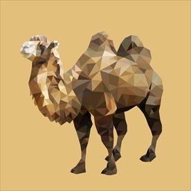 沙漠骆驼