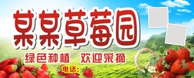 草莓园