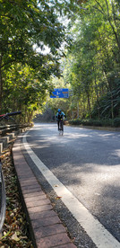 马路风光