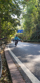 马路风光