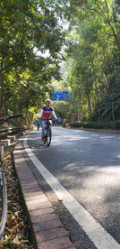 马路风光