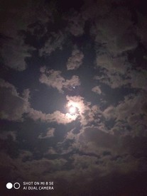 夜景