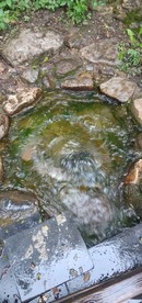泉水
