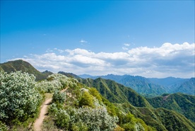 山色