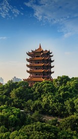 楼台