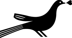 野生动物系 鸽子