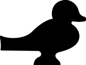 野生动物系 鸭子