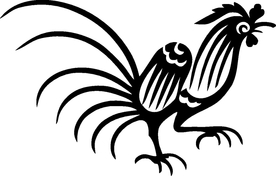 动物系 公鸡
