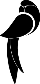 野生动物系列 鹦鹉