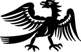 野生动物系 大鸟猛禽