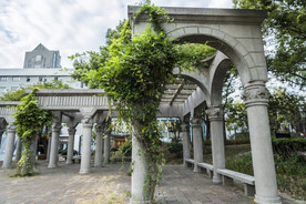 公园凉亭