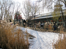 葫芦古镇  雪景   风景