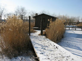 葫芦古镇  雪景   风景