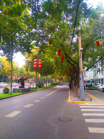 城市道路风景